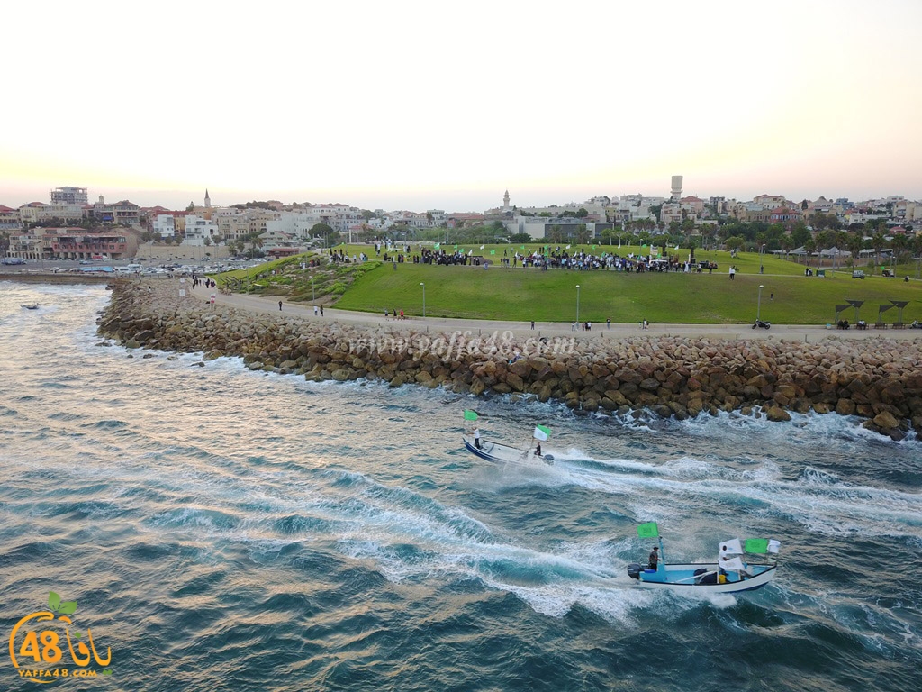 iste3rad sayaden yaffa (7).JPG